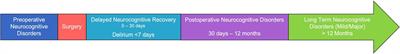 Role of non-invasive imaging in perioperative neurocognitive disorders